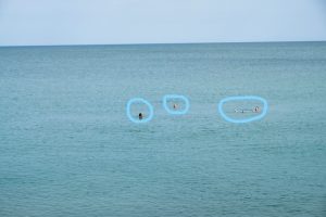 Bravo aux courageux pour cette baignade improvisée