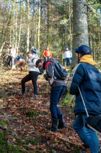On n'a pas la photo de la chute de Pierre-Louis ?